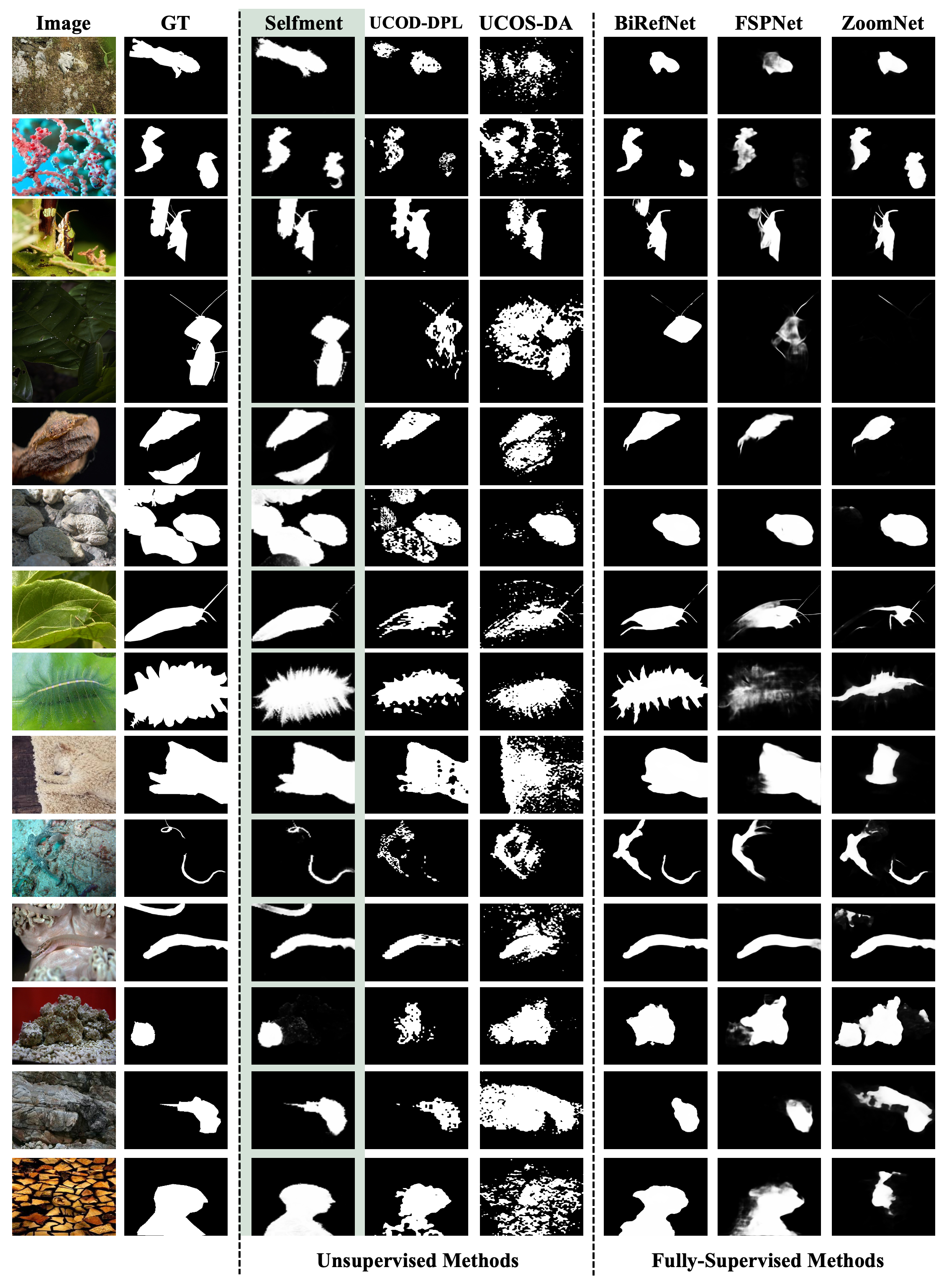 Qualitative comparison on camouflaged object detection.