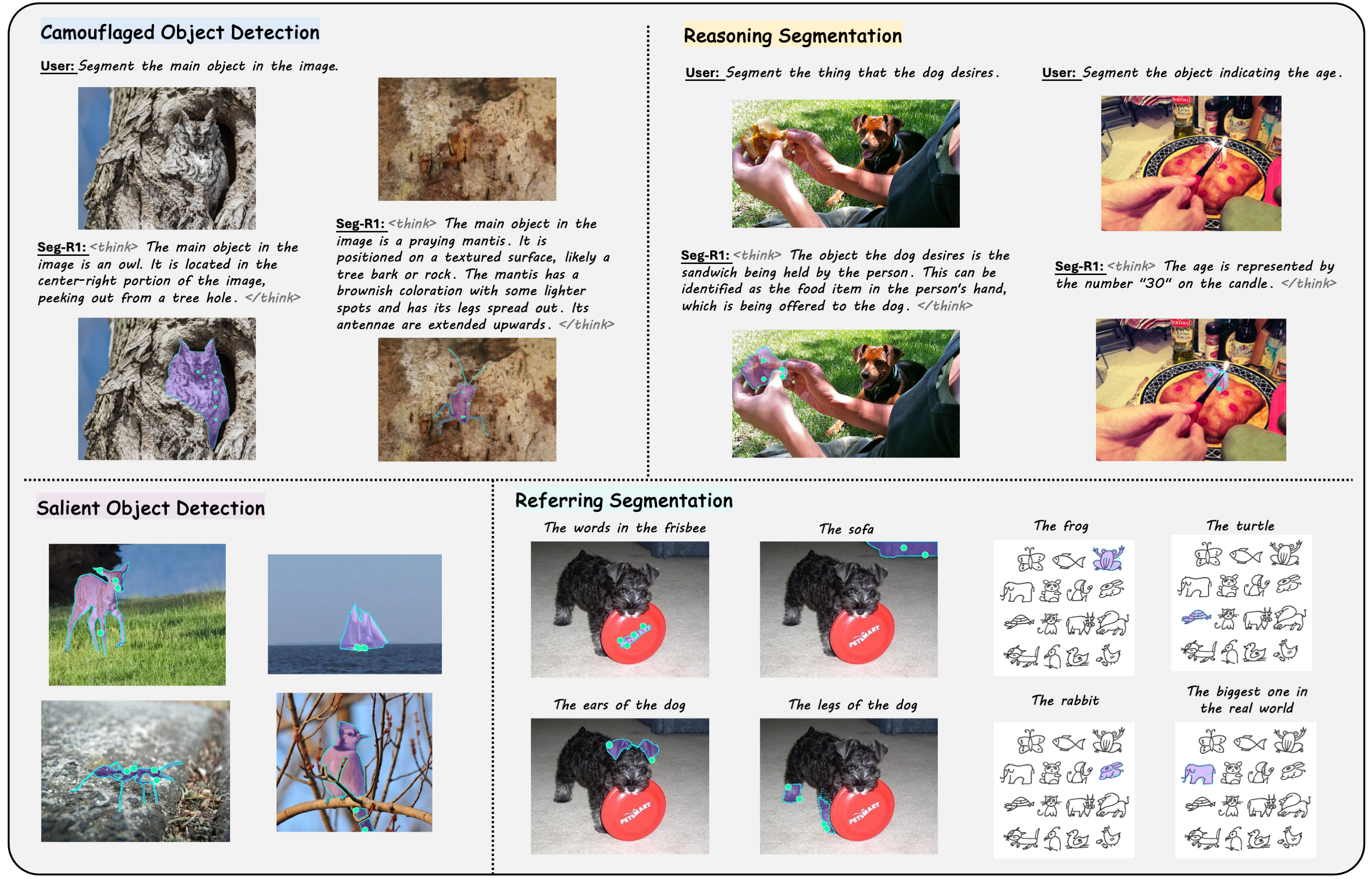 Overview of segmentation ability of Seg-R1.